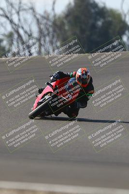 media/Nov-02-2025-Lets Ride (Sun) [[f7a3caa734]]/A Group/12pm (Turn 2 Outside)/